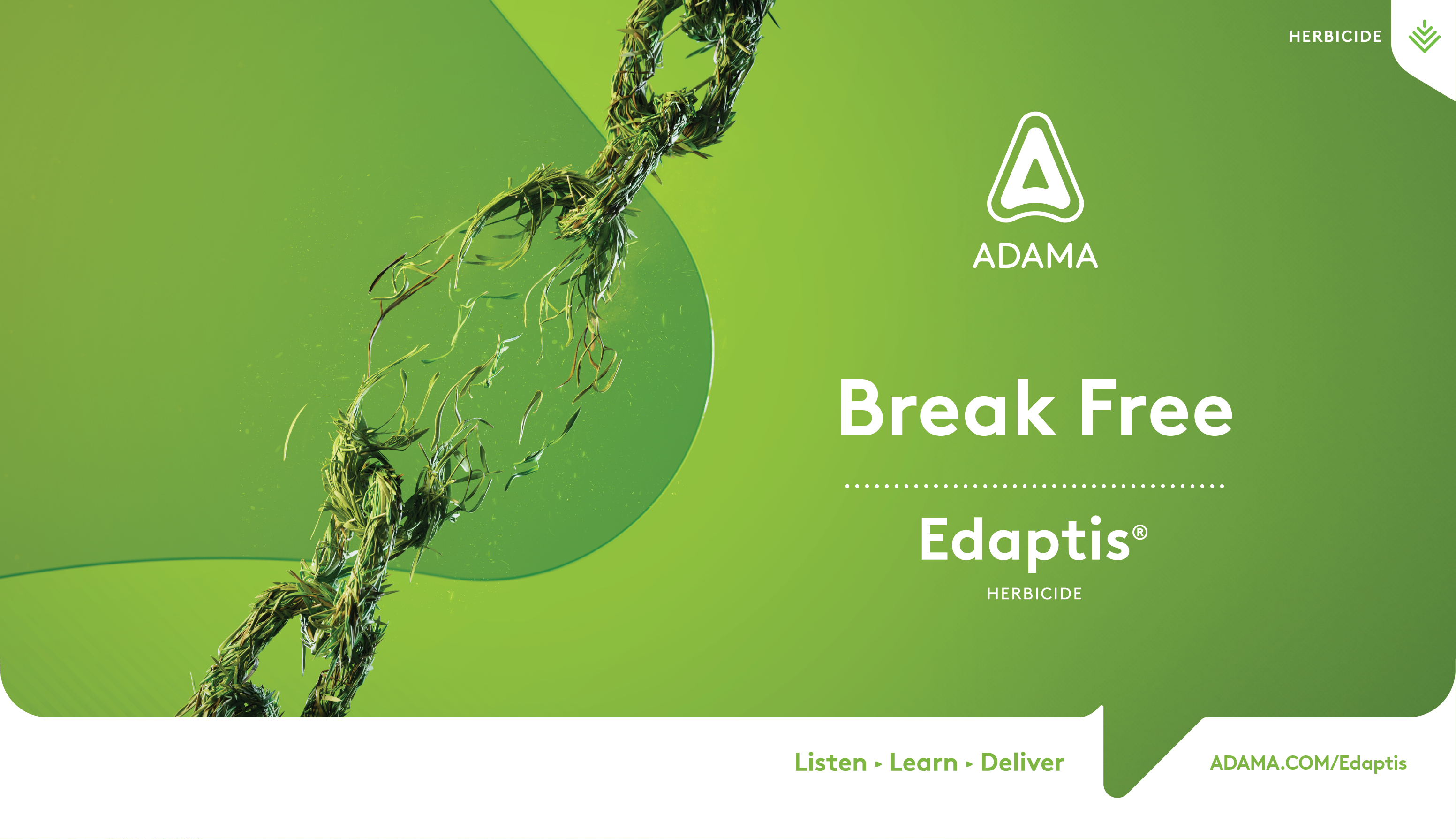 安道麦EDAPTIS®即将登陆欧洲,为当地谷物除草剂市场带去创新